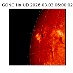 gong - 2026-03-03T06:00:02