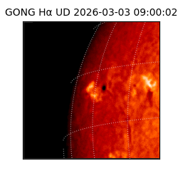 gong - 2026-03-03T09:00:02