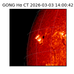 gong - 2026-03-03T14:00:42