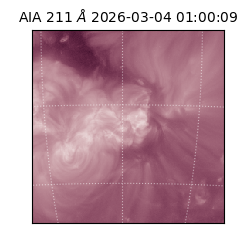 saia - 2026-03-04T01:00:09.625000