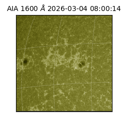 saia - 2026-03-04T08:00:14.125000