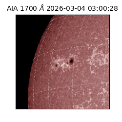 saia - 2026-03-04T03:00:28.717000