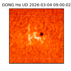 gong - 2026-03-04T09:00:02