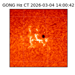 gong - 2026-03-04T14:00:42