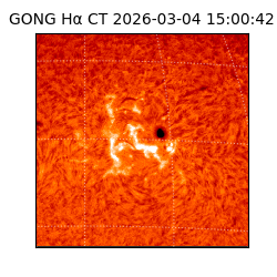 gong - 2026-03-04T15:00:42