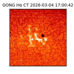 gong - 2026-03-04T17:00:42