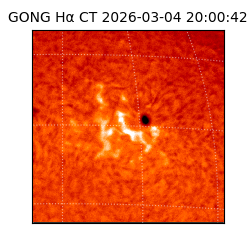 gong - 2026-03-04T20:00:42