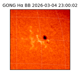 gong - 2026-03-04T23:00:02