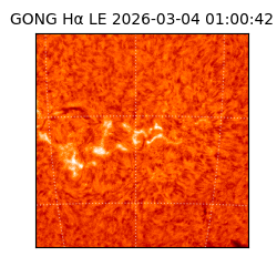 gong - 2026-03-04T01:00:42