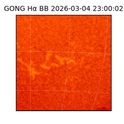 gong - 2026-03-04T23:00:02