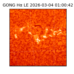 gong - 2026-03-04T01:00:42