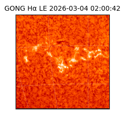 gong - 2026-03-04T02:00:42