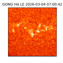 gong - 2026-03-04T07:00:42