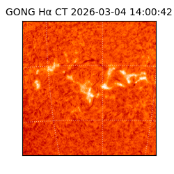 gong - 2026-03-04T14:00:42