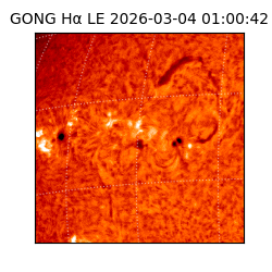 gong - 2026-03-04T01:00:42