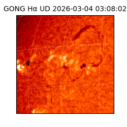 gong - 2026-03-04T03:08:02