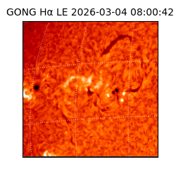 gong - 2026-03-04T08:00:42