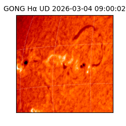 gong - 2026-03-04T09:00:02