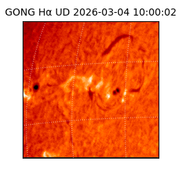 gong - 2026-03-04T10:00:02