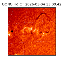 gong - 2026-03-04T13:00:42