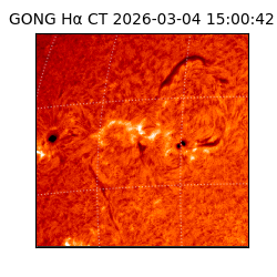 gong - 2026-03-04T15:00:42