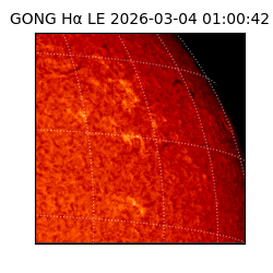 gong - 2026-03-04T01:00:42