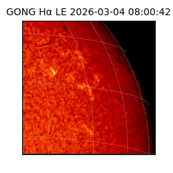 gong - 2026-03-04T08:00:42
