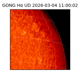 gong - 2026-03-04T11:00:02