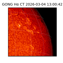 gong - 2026-03-04T13:00:42