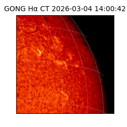 gong - 2026-03-04T14:00:42