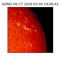 gong - 2026-03-04T19:00:42