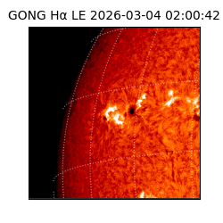 gong - 2026-03-04T02:00:42