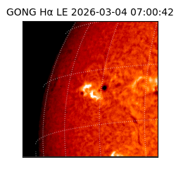 gong - 2026-03-04T07:00:42