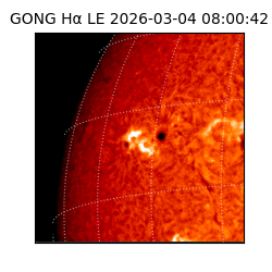 gong - 2026-03-04T08:00:42