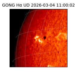 gong - 2026-03-04T11:00:02