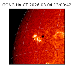 gong - 2026-03-04T13:00:42