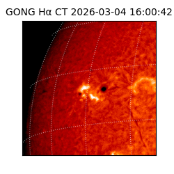 gong - 2026-03-04T16:00:42