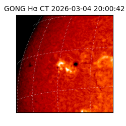 gong - 2026-03-04T20:00:42
