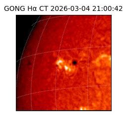 gong - 2026-03-04T21:00:42