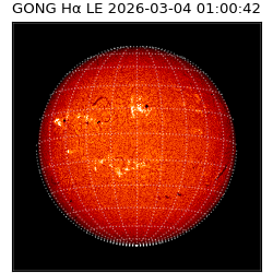 gong - 2026-03-04T01:00:42