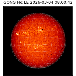 gong - 2026-03-04T08:00:42