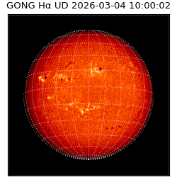 gong - 2026-03-04T10:00:02