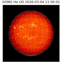 gong - 2026-03-04T11:00:02