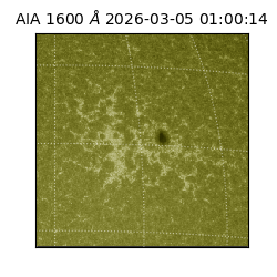 saia - 2026-03-05T01:00:14.118000