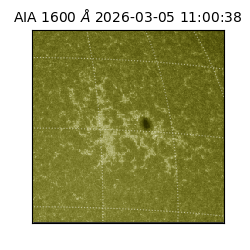 saia - 2026-03-05T11:00:38.132000