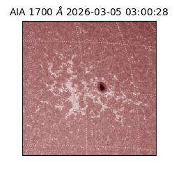 saia - 2026-03-05T03:00:28.709000