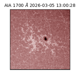 saia - 2026-03-05T13:00:28.717000