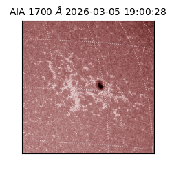 saia - 2026-03-05T19:00:28.720000