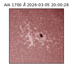 saia - 2026-03-05T20:00:28.717000