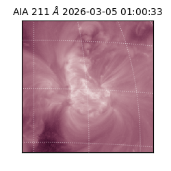 saia - 2026-03-05T01:00:33.625000